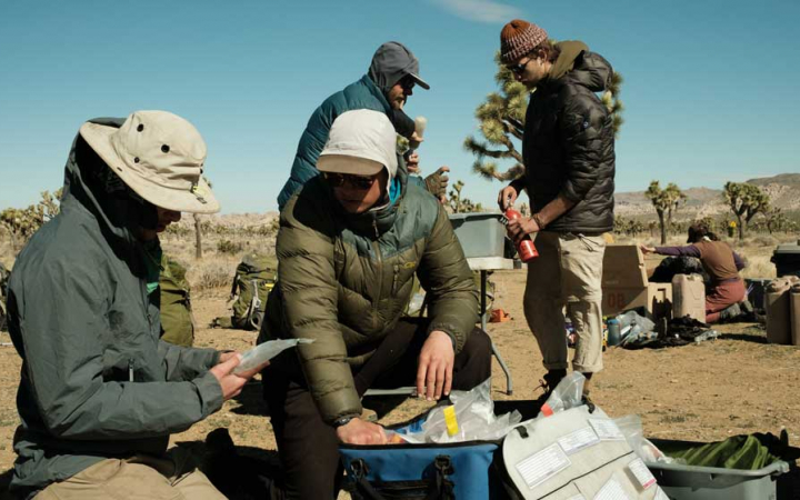 four people complete camp tasks in Joshua Tree National Park